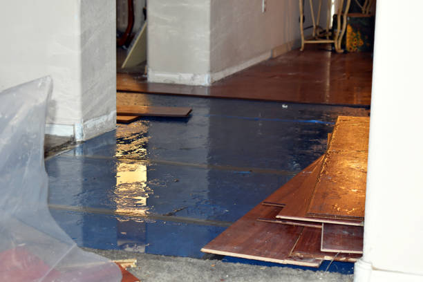 Professional Basement Flood Cleanup technician working in Dane, WI