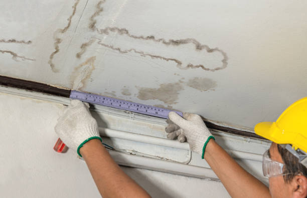 Reliable Basement Flood Cleanup contractor in Dane, WI by Hirex Water Damage